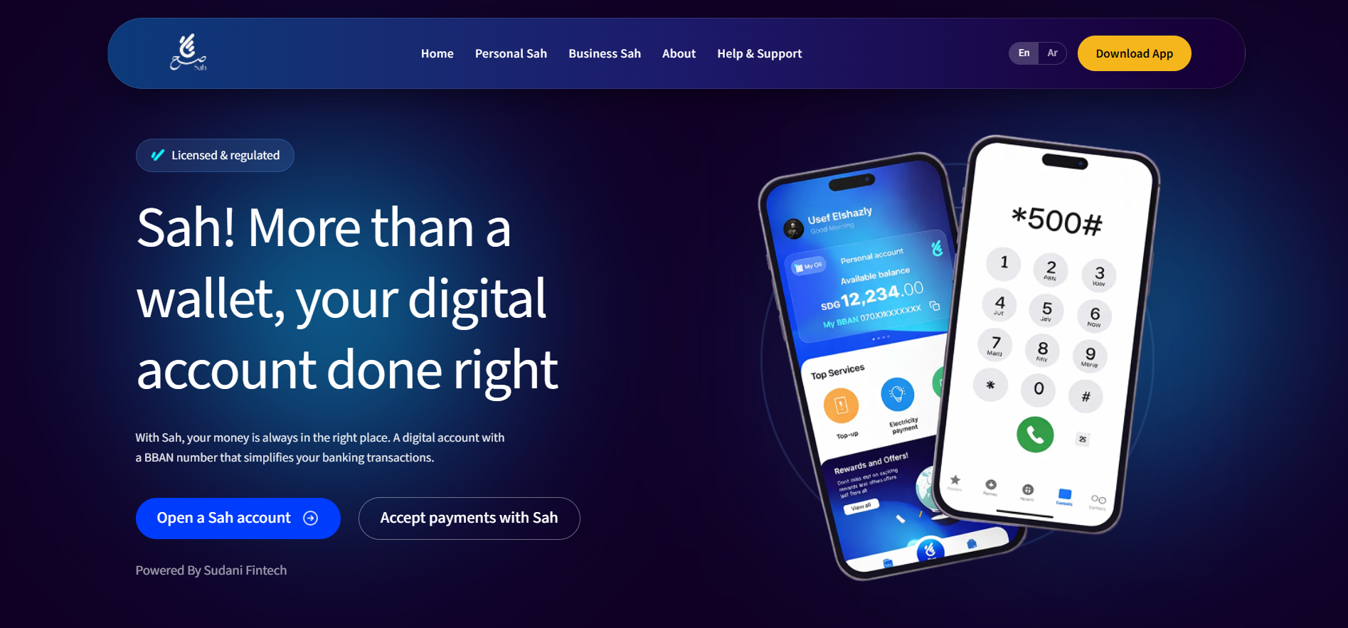 An image of the SAH Fintech — Mobile API & Integrations project.